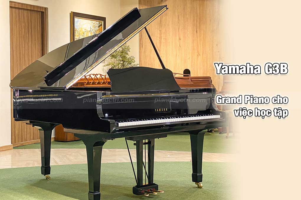 Yamaha G3D 1 Vì sao nên mua đàn Yamaha G3D