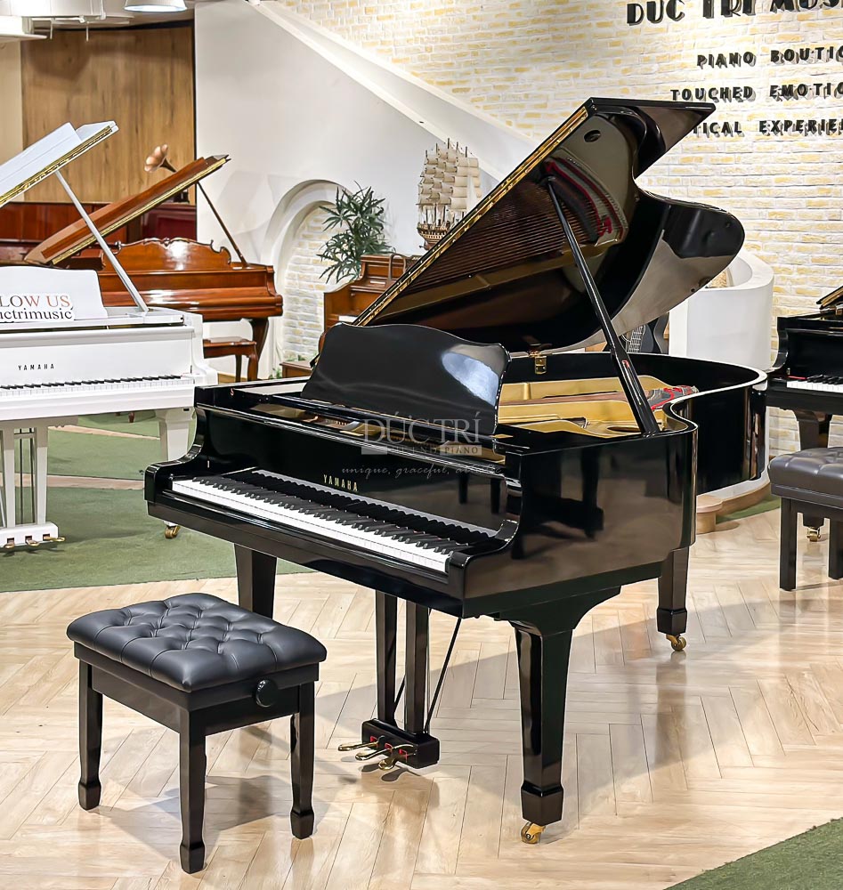 Yamaha C5E 1 Yamaha C5E đã qua sử dụng