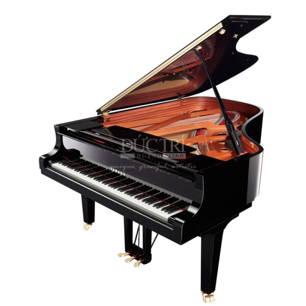 Yamaha C6X