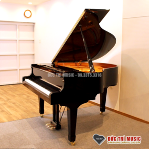 Yamaha C2A