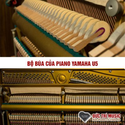Yamaha U5 3 máy và bộ búa đàn yamaha u5