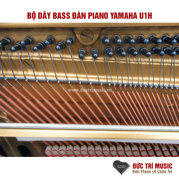 Yamaha U1H 16 Bộ dây dàn piano Yamaha U1H