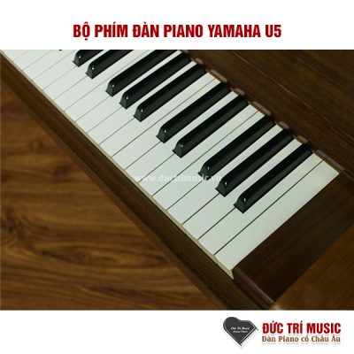 Yamaha U5 2 bộ phím đàn yamaha u5