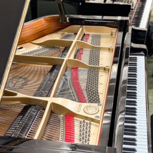 Dây đàn piano Yamaha C7