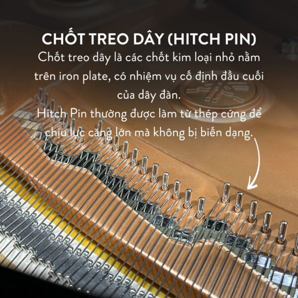 Đàn Grand Piano Yamaha C7X Cao Cấp tại Đức Trí Music