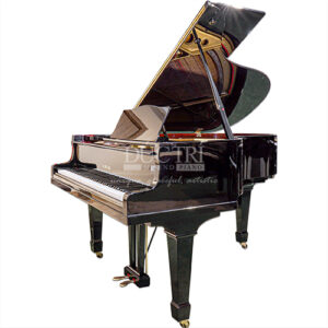 Yamaha G2B