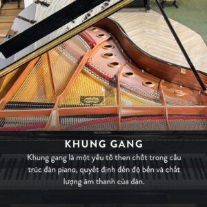 Đàn Grand Piano Yamaha C7X Cao Cấp tại Đức Trí Music