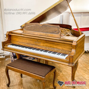 Piano Đức Trí mua bán grand piano cao cấp từ Châu âu