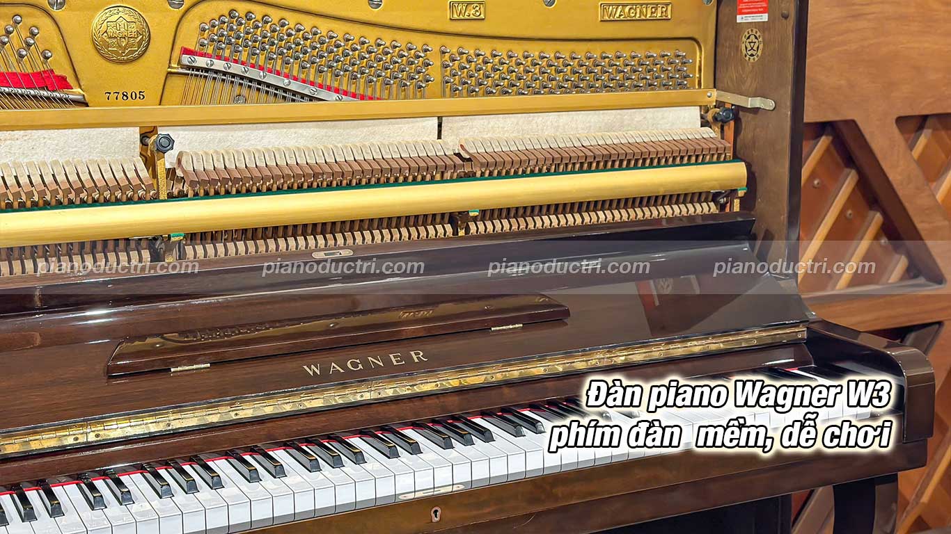 phím đàn wagner w3 dễ chơi