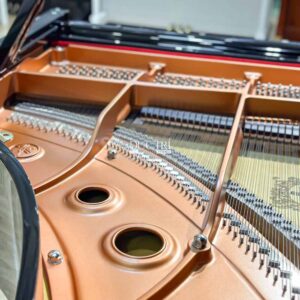 YAMAHA C3X FRAMES