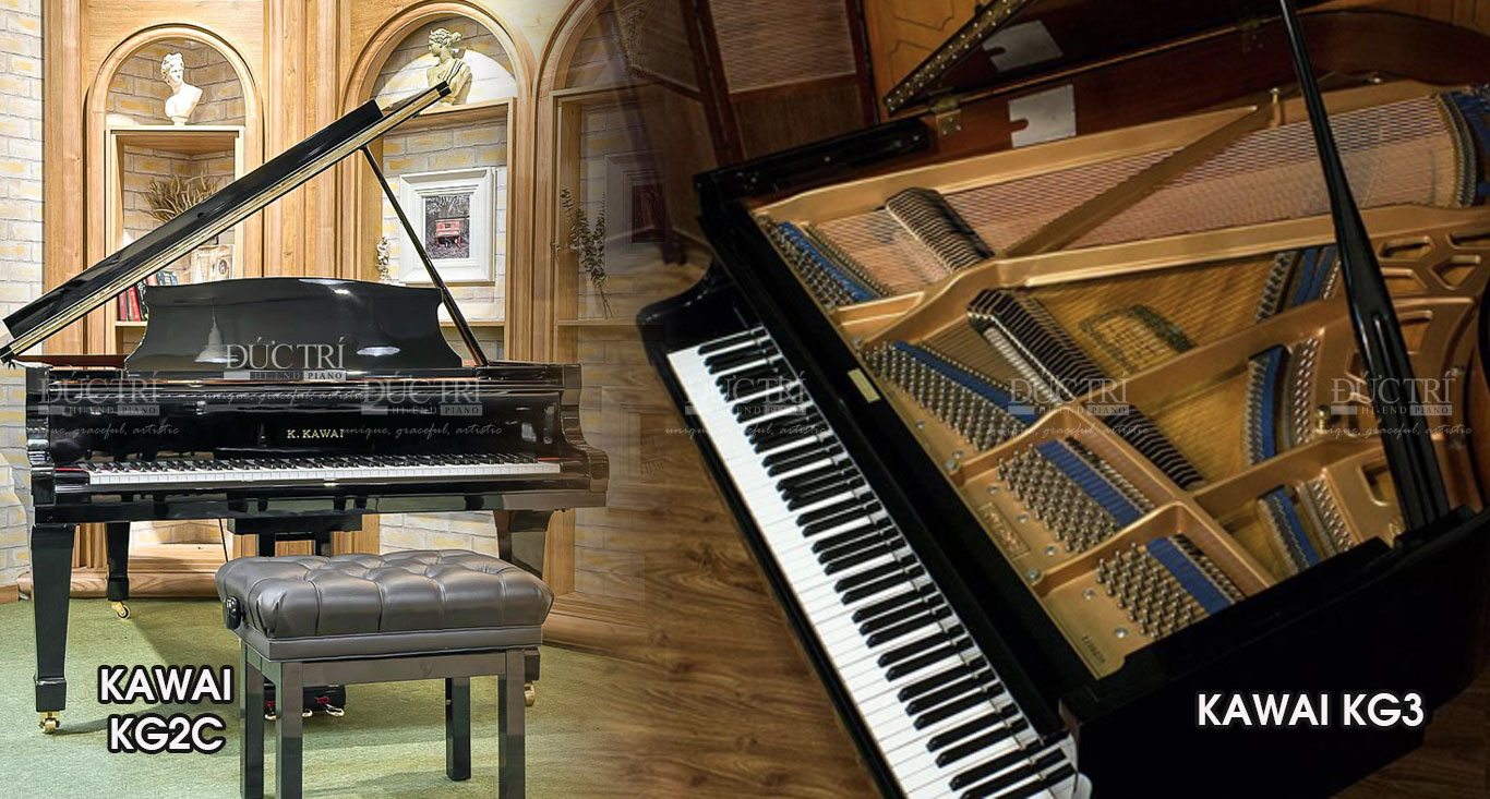 Kawai KG2C 5 So sánh đàn piano kawai kg2c với Kawai KG3