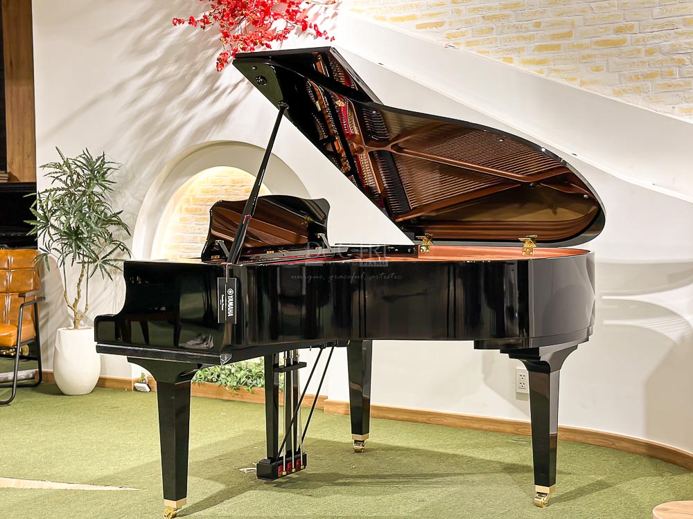 Yamaha GC1 9 Hình ảnh chiếc Đàn Piano Cơ Yamaha GC1 Grand tại Showroom Piano Đức Trí
