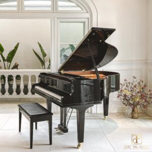 Yamaha GC2 PE