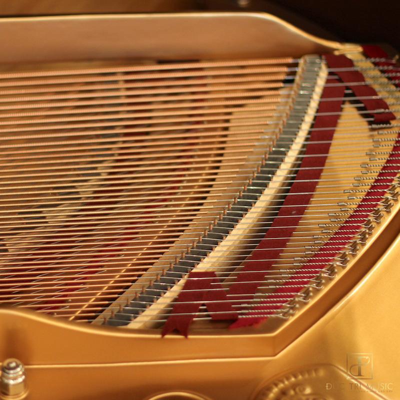 ĐÀN PIANO STEINWAY & SONS LOUIS XV WALNUT 3 Đàn Piano Steinway & Sons Louis XV Model M - Dây Bass