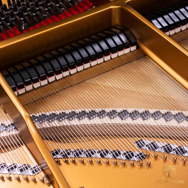 Steinway S155 6 Đàn Piano Steinway & Sons Model D - Dumper đàn
