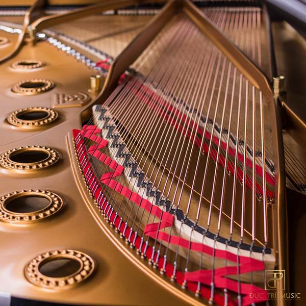 Steinway S155 5 Đàn Piano Steinway & Sons Model D - Dây đàn