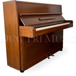 Yamaha P2