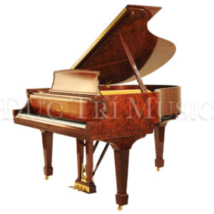 ĐÀN PIANO STEINWAY & SONS MODEL M BUBINGA