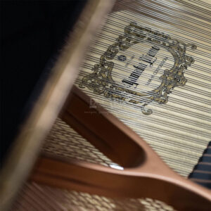 Bảng âm đàn piano Yamaha C1 PE
