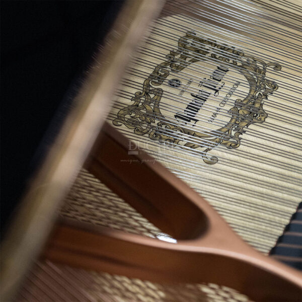 Bảng âm đàn piano Yamaha C1 PE