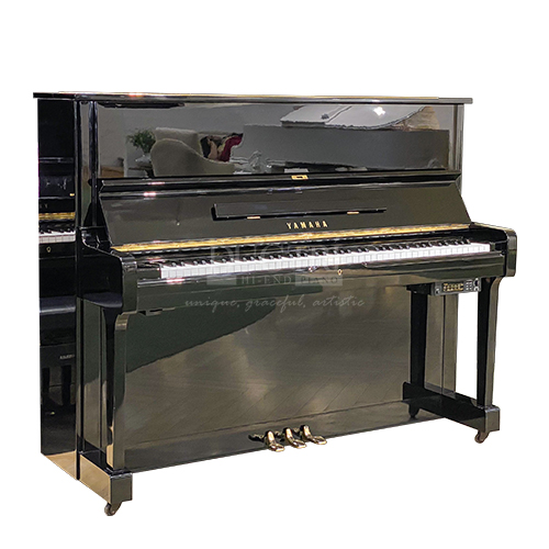 Eterna E10D