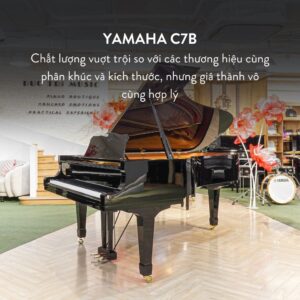 Grand Piano Yamaha C7B Cao Cấp tại Đức Trí Music
