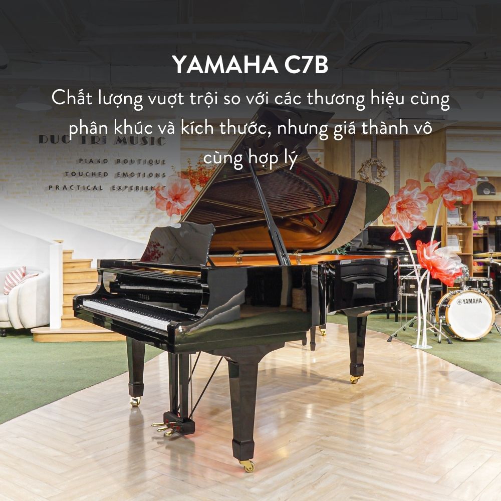 Yamaha C7B 15 Grand Piano Yamaha C7B Cao Cấp tại Đức Trí Music