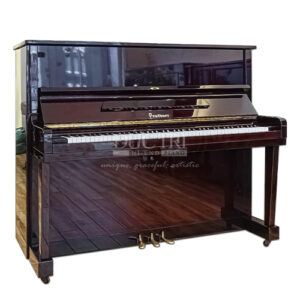Pruthner P2