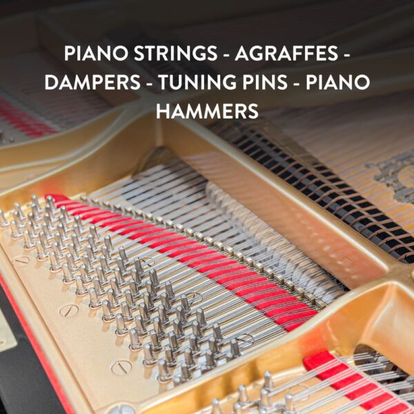 Grand Piano Yamaha C7B Cao Cấp tại Đức Trí Music