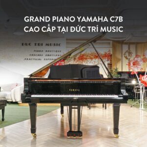 Grand Piano Yamaha C7B Cao Cấp tại Đức Trí Music