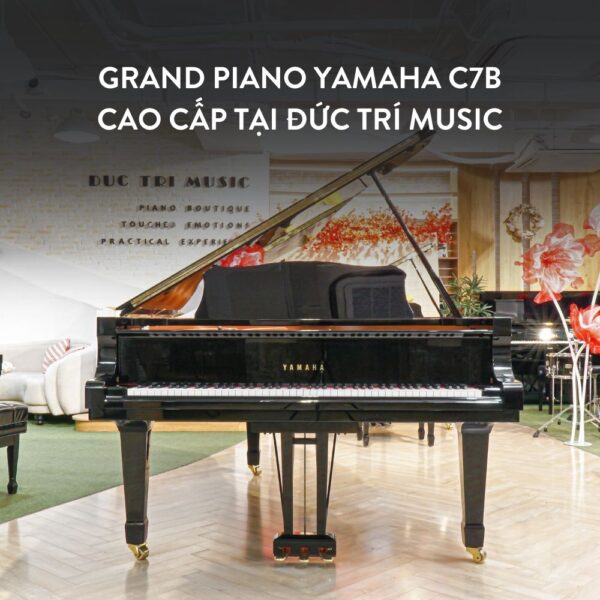 Grand Piano Yamaha C7B Cao Cấp tại Đức Trí Music