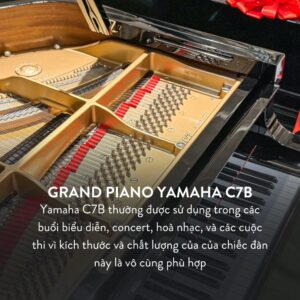 Grand Piano Yamaha C7B Cao Cấp tại Đức Trí Music