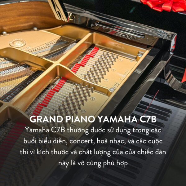 Grand Piano Yamaha C7B Cao Cấp tại Đức Trí Music