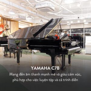 Kích thước Grand Piano Yamaha C7B Cao Cấp tại Đức Trí Music