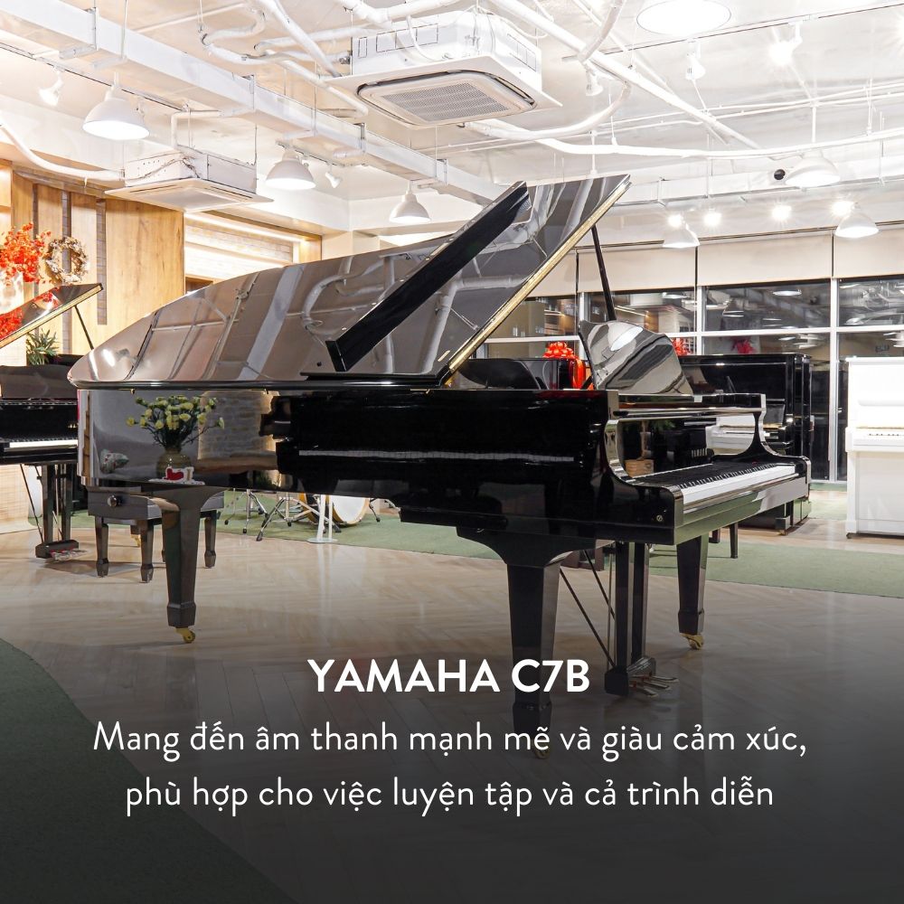 Yamaha C7B 16 Kích thước Grand Piano Yamaha C7B Cao Cấp tại Đức Trí Music