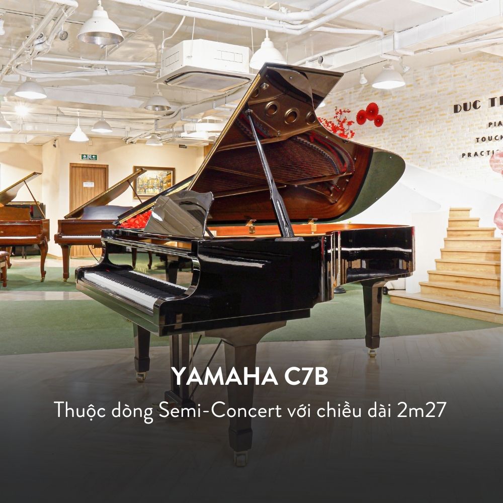 Yamaha C7B 11 Grand Piano Yamaha C7B Cao Cấp tại Đức Trí Music