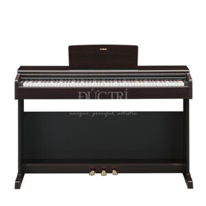 YDP-145R