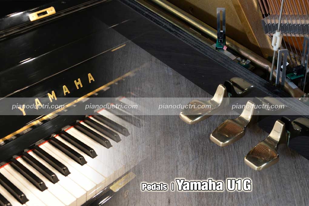 Yamaha U1G 1 banner đàn piano Yamaha U1G