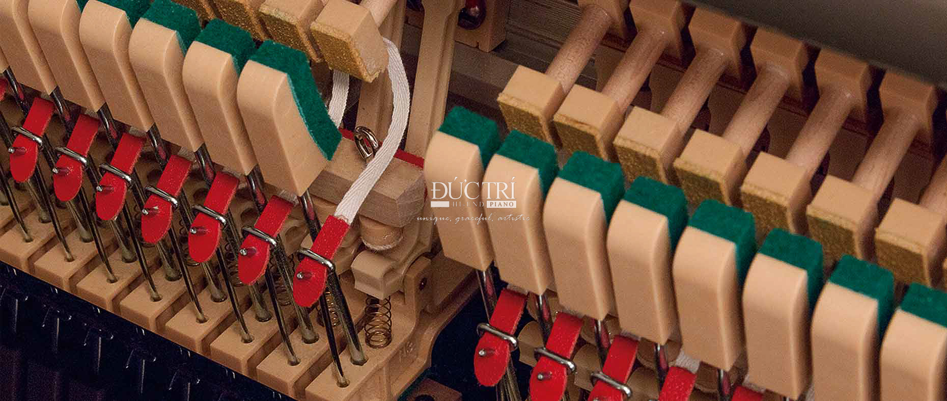 Kawai ND-21 8 Bộ máy đàn piano Kawai ND-21