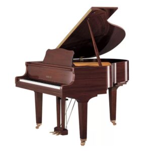 Yamaha DGC1 PM