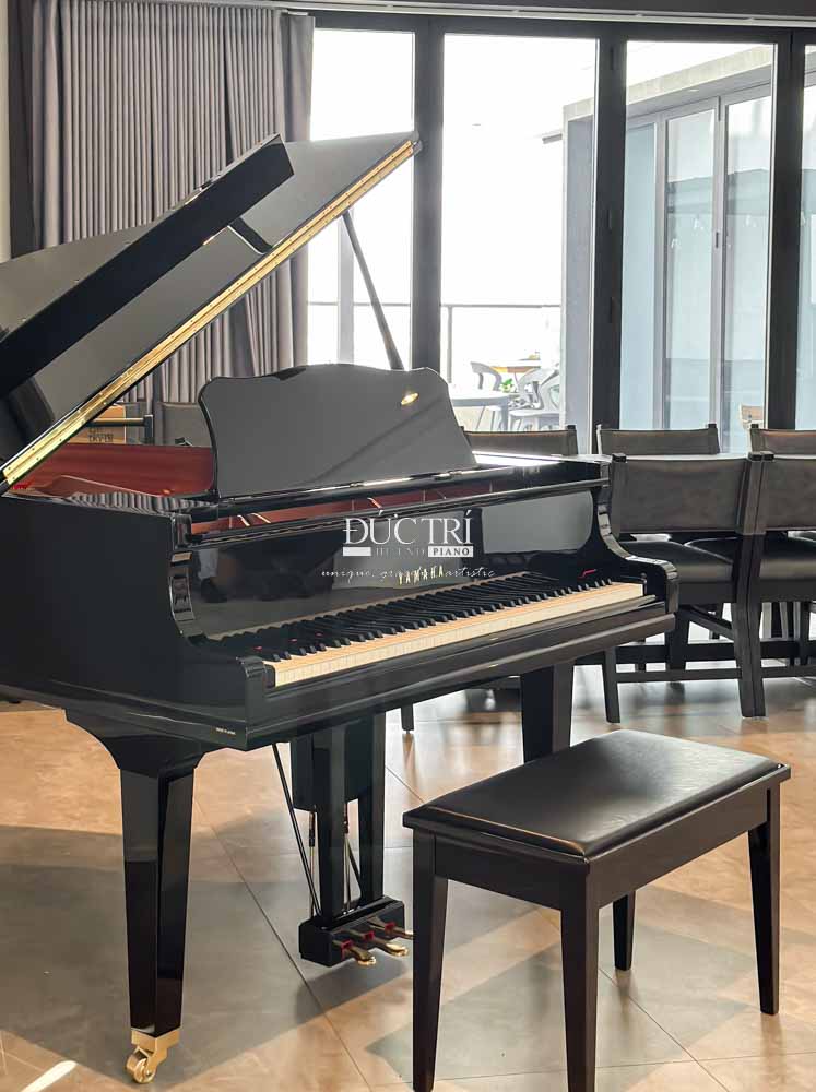 Yamaha DGC1 1 Đàn Piano Yamaha DGC1 ENPRO