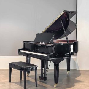 yamaha dgc1 enpro