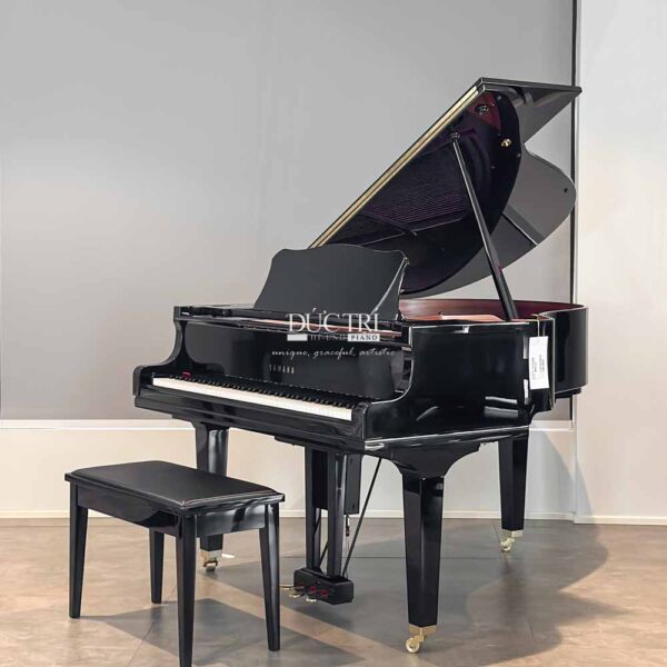 yamaha dgc1 enpro