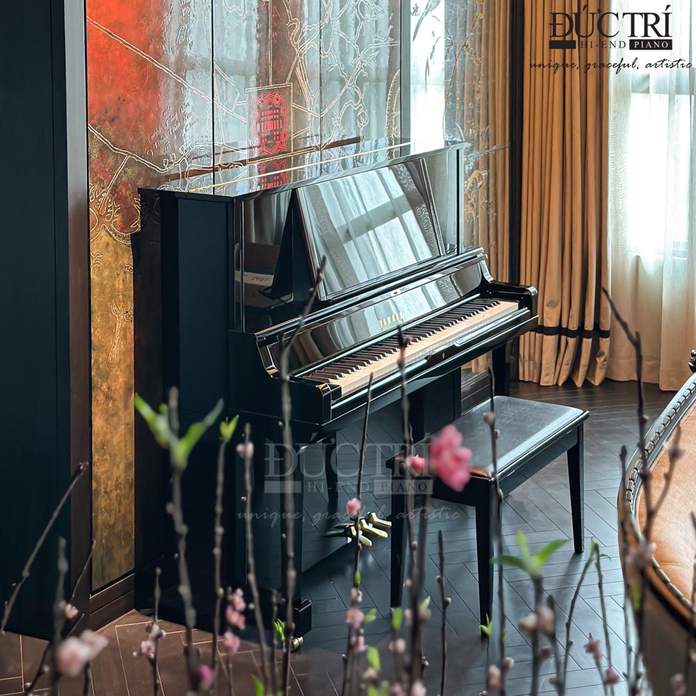 Yamaha YUS5 New 2024 | Sala Quận 2