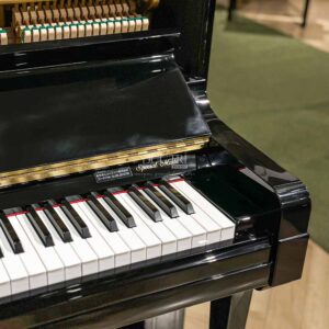 Kawai DS70 bàn phím special cao cấp