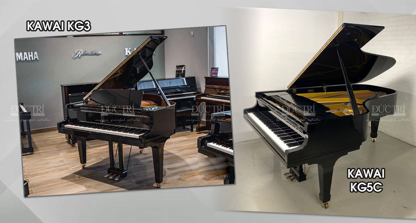 Kawai KG3 4 So sánh đàn piano Kawai KG3 với Kawai KG5C