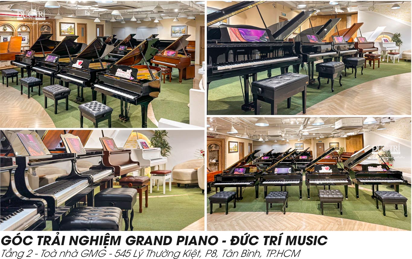 Bluthner Crystal Edition 16 SHOWROOM Góc trải nghiệm đàn grand piano Piano Đức Trí