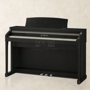 Kawai CN24