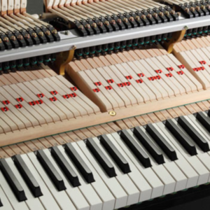 máy Kawai GX2