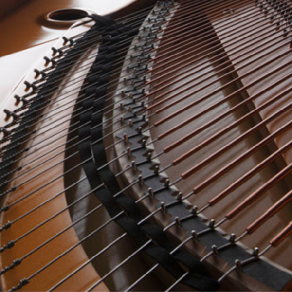 ngựa Kawai GX7